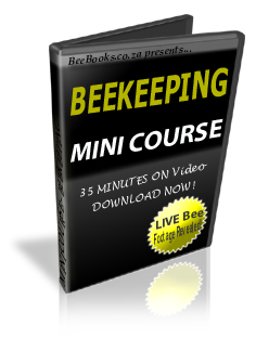 Mini Bee Course Video